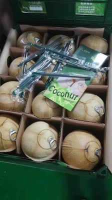 Combo Mesin Penjual Buah Segar OEM Dengan Jaringan Locker 4G